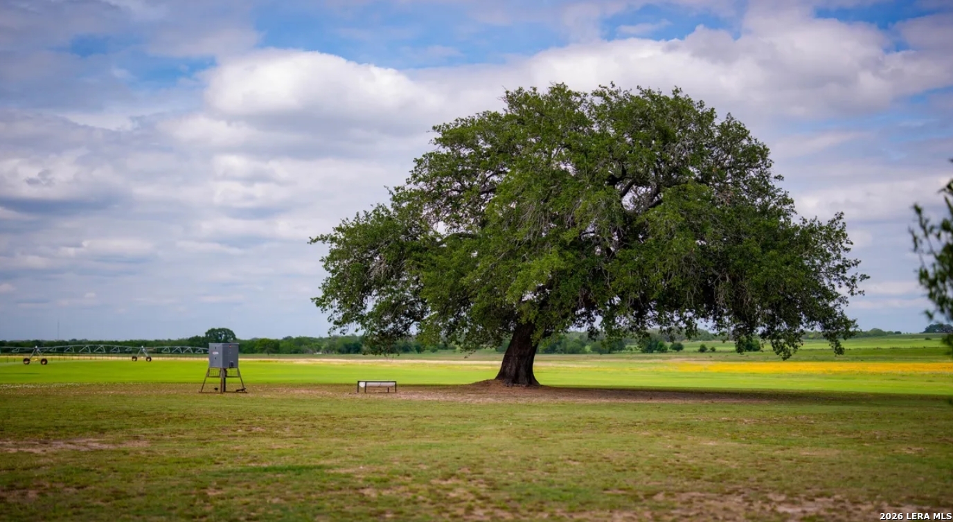 1769 Farm To Market Road 536 Pleasanton TX 78064