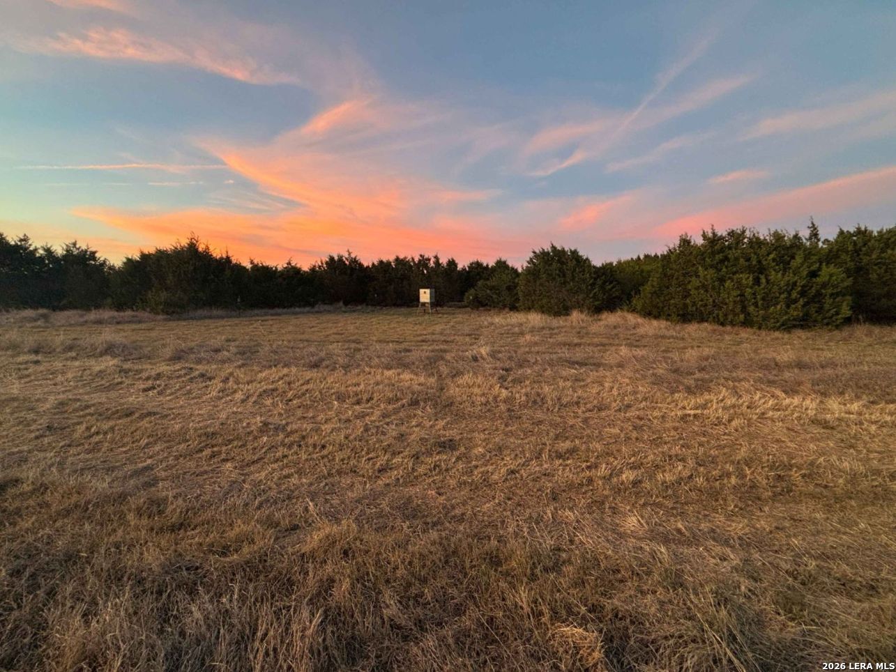 3738 Duderstadt Road Harper TX 78631