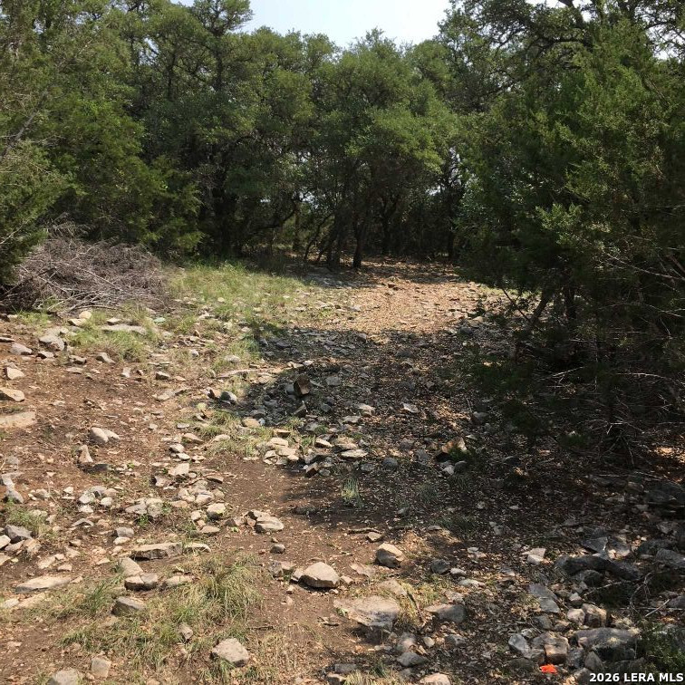3738 Duderstadt Road Harper TX 78631