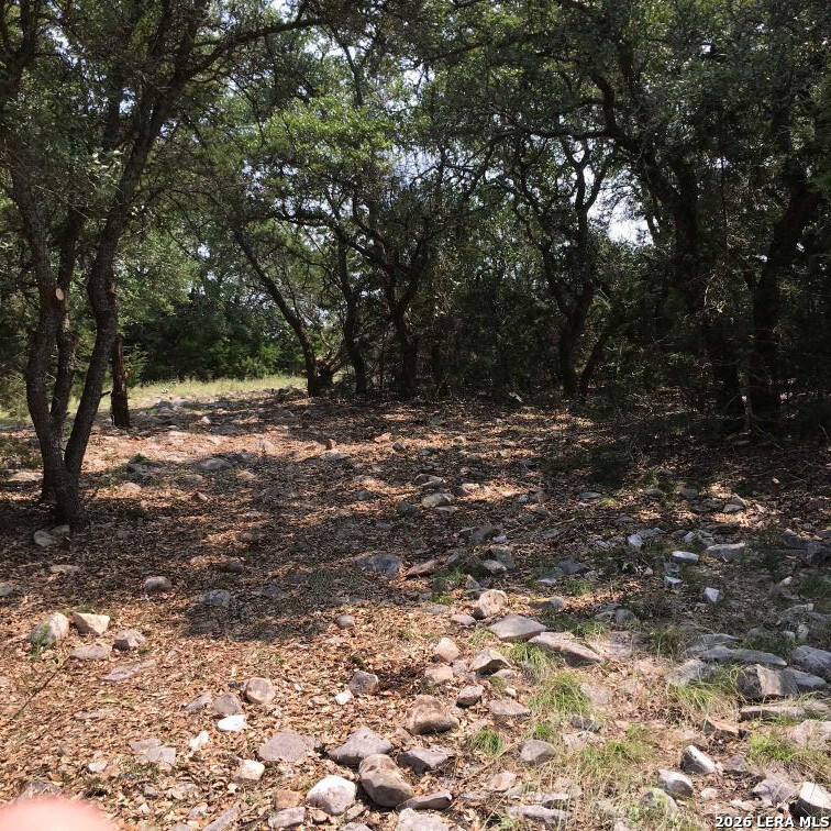 3738 Duderstadt Road Harper TX 78631