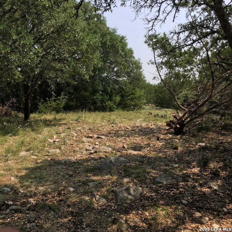 3738 Duderstadt Road Harper TX 78631