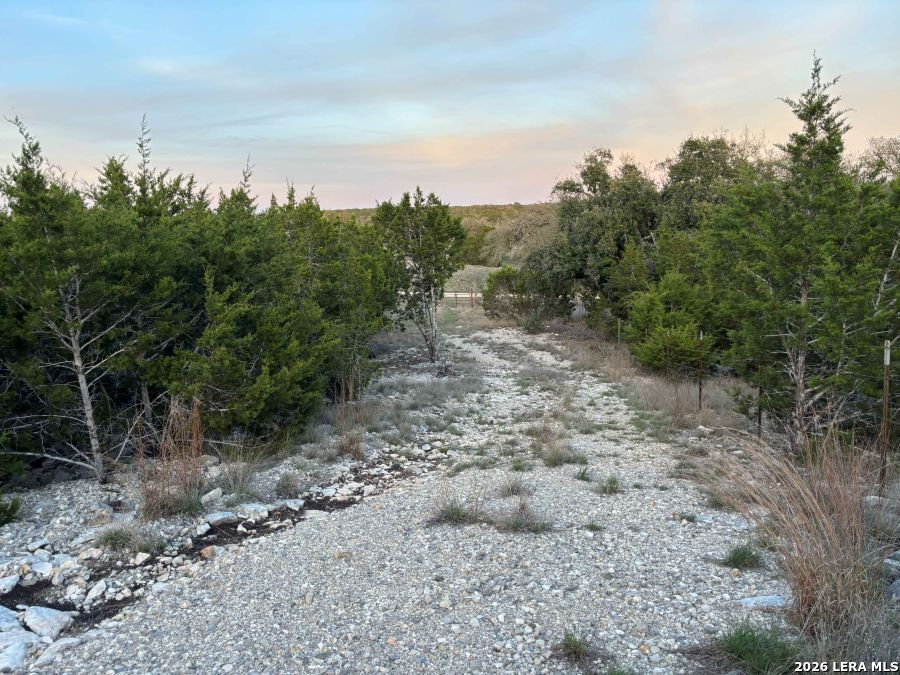 3738 Duderstadt Road Harper TX 78631