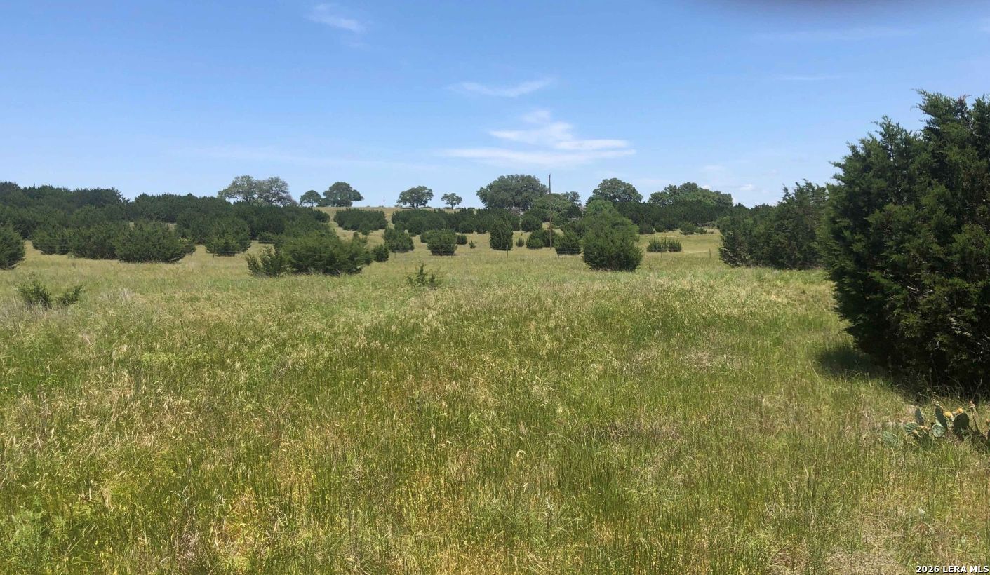 3738 Duderstadt Road Harper TX 78631