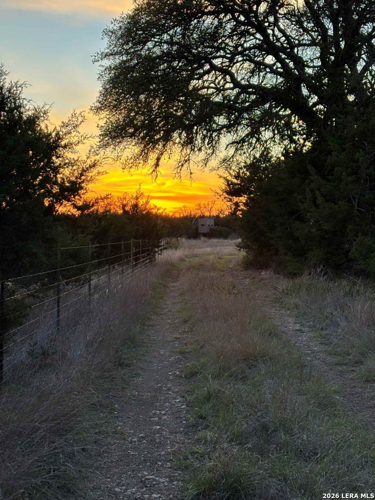 3738 Duderstadt Road Harper TX 78631