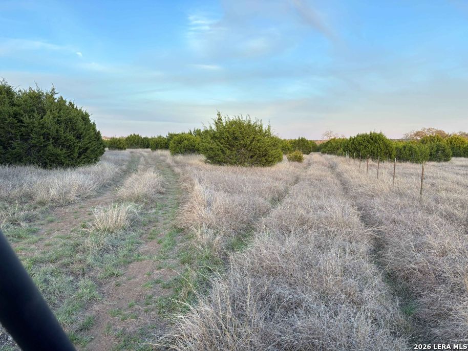 3738 Duderstadt Road Harper TX 78631