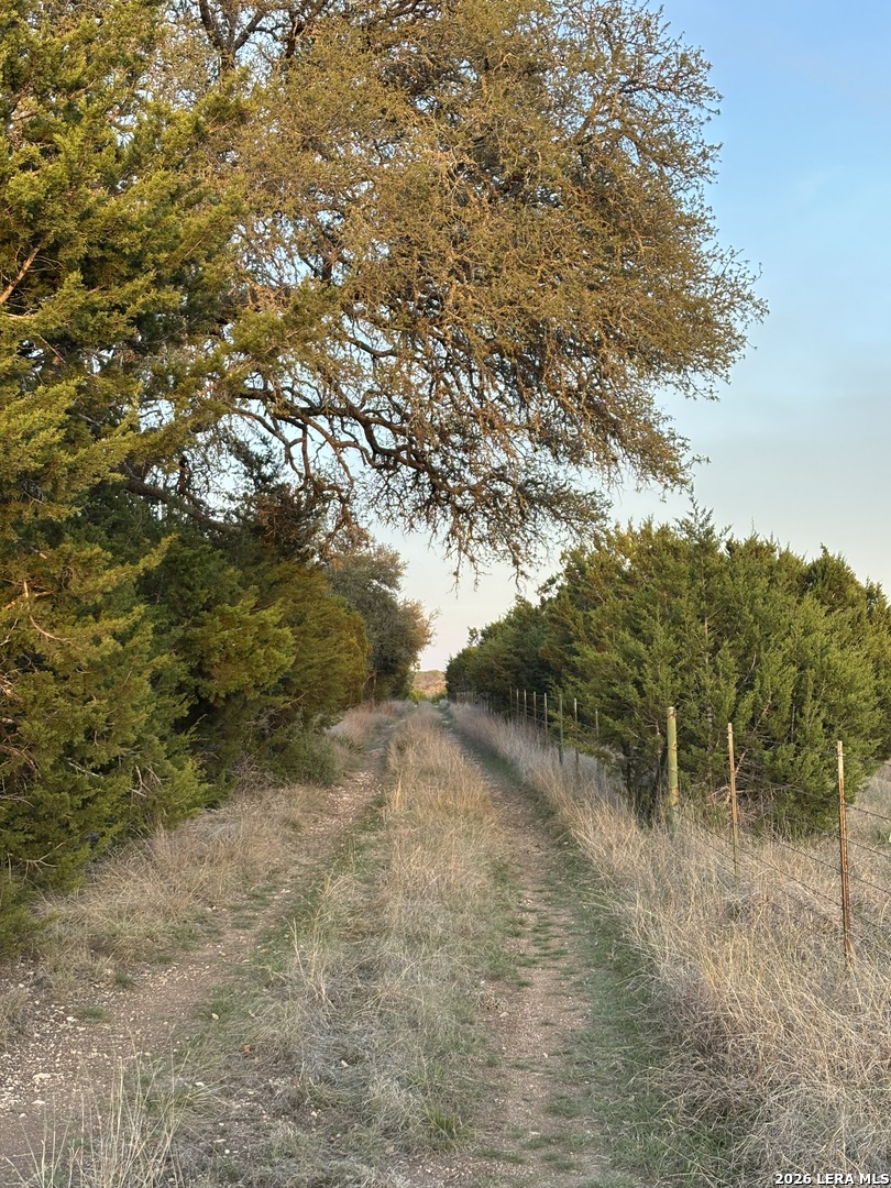 3738 Duderstadt Road Harper TX 78631