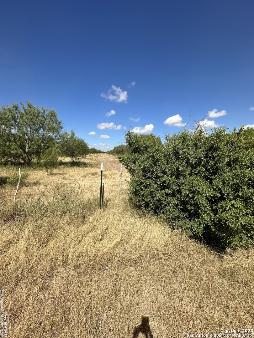 000 Old Highway 90 Sabinal TX 78881
