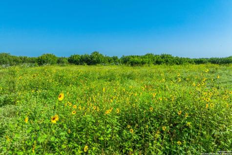 3911 County Road 1000 Pearsall TX 78061