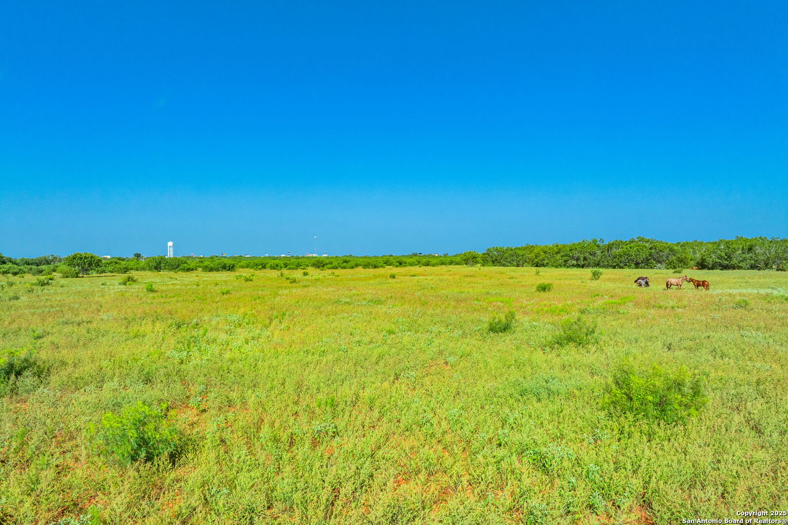 3911 County Road 1000 Pearsall TX 78061