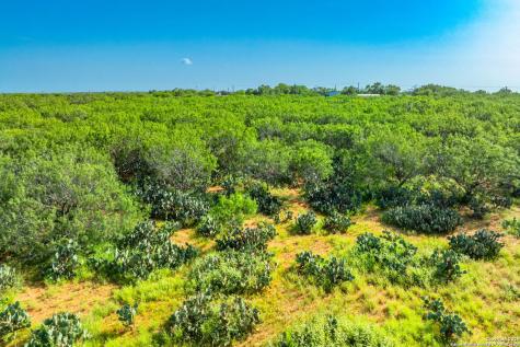 3911 County Road 1000 Pearsall TX 78061