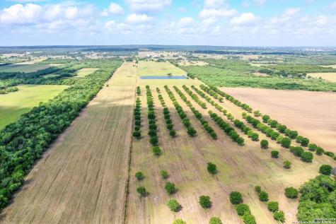 2540 County Road 342 La Vernia TX 78121