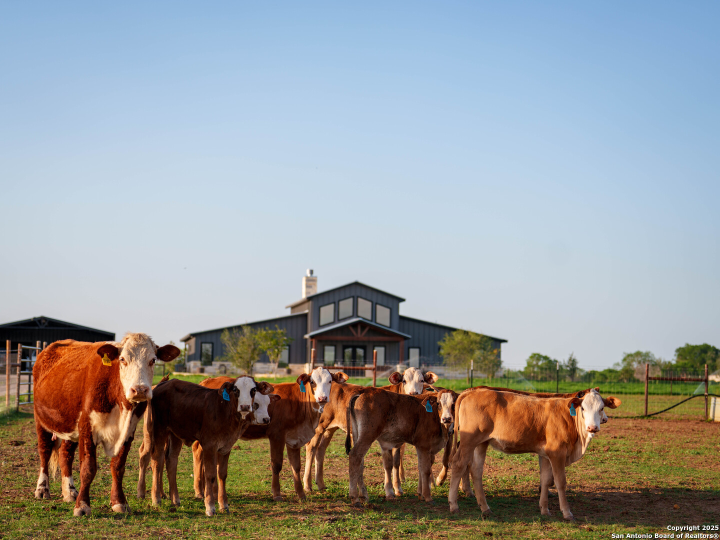 12093 New Sulphur San Antonio TX 78263