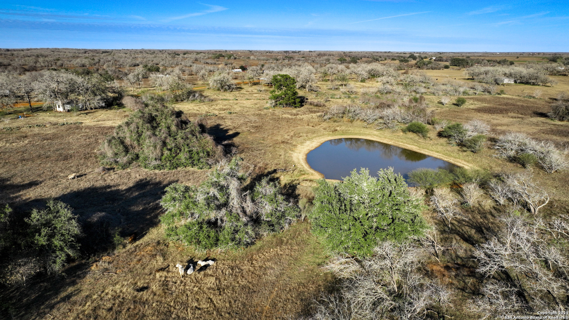 50+/- Acres Fm 1681 Nixon TX 78140