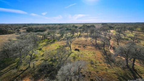 50+/- Acres Fm 1681 Nixon TX 78140