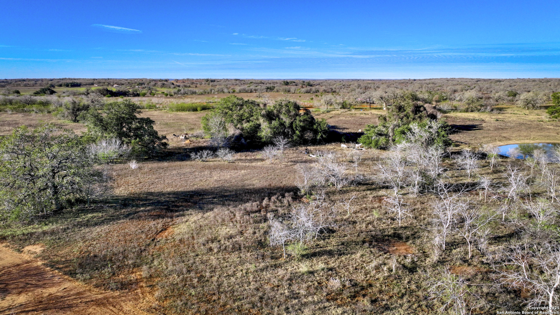 50+/- Acres Fm 1681 Nixon TX 78140