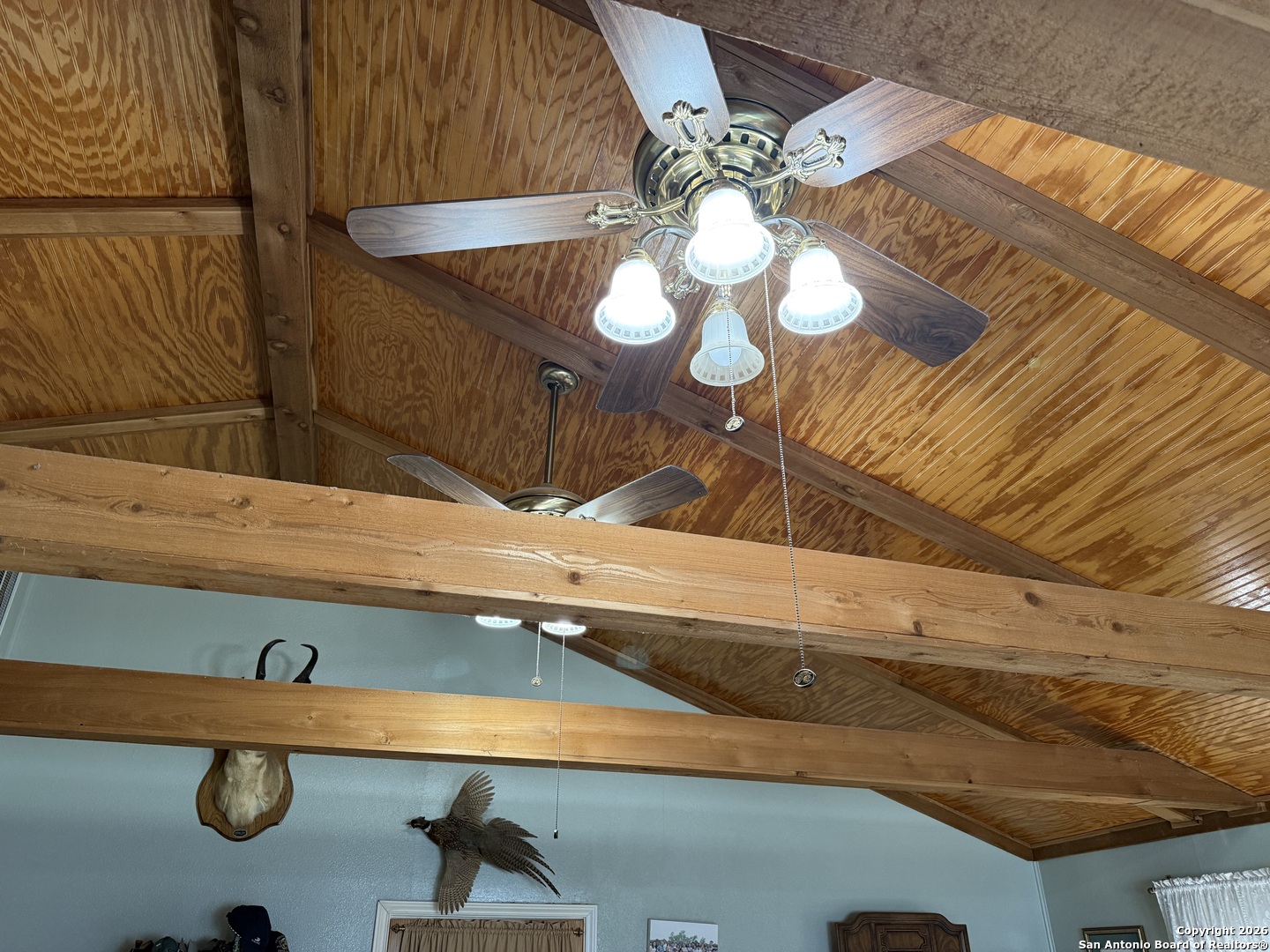 1485 Fm 2579 Floresville TX 78114