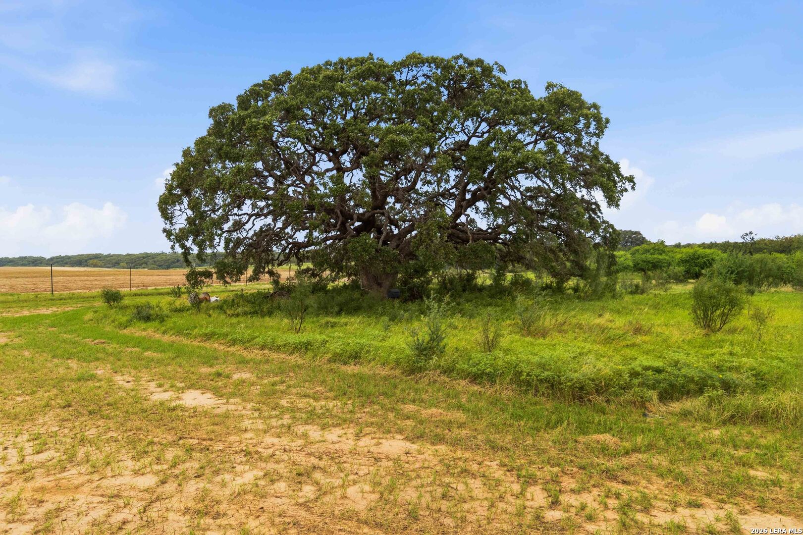 2194 S Ranch Road 187 Sabinal TX 78881