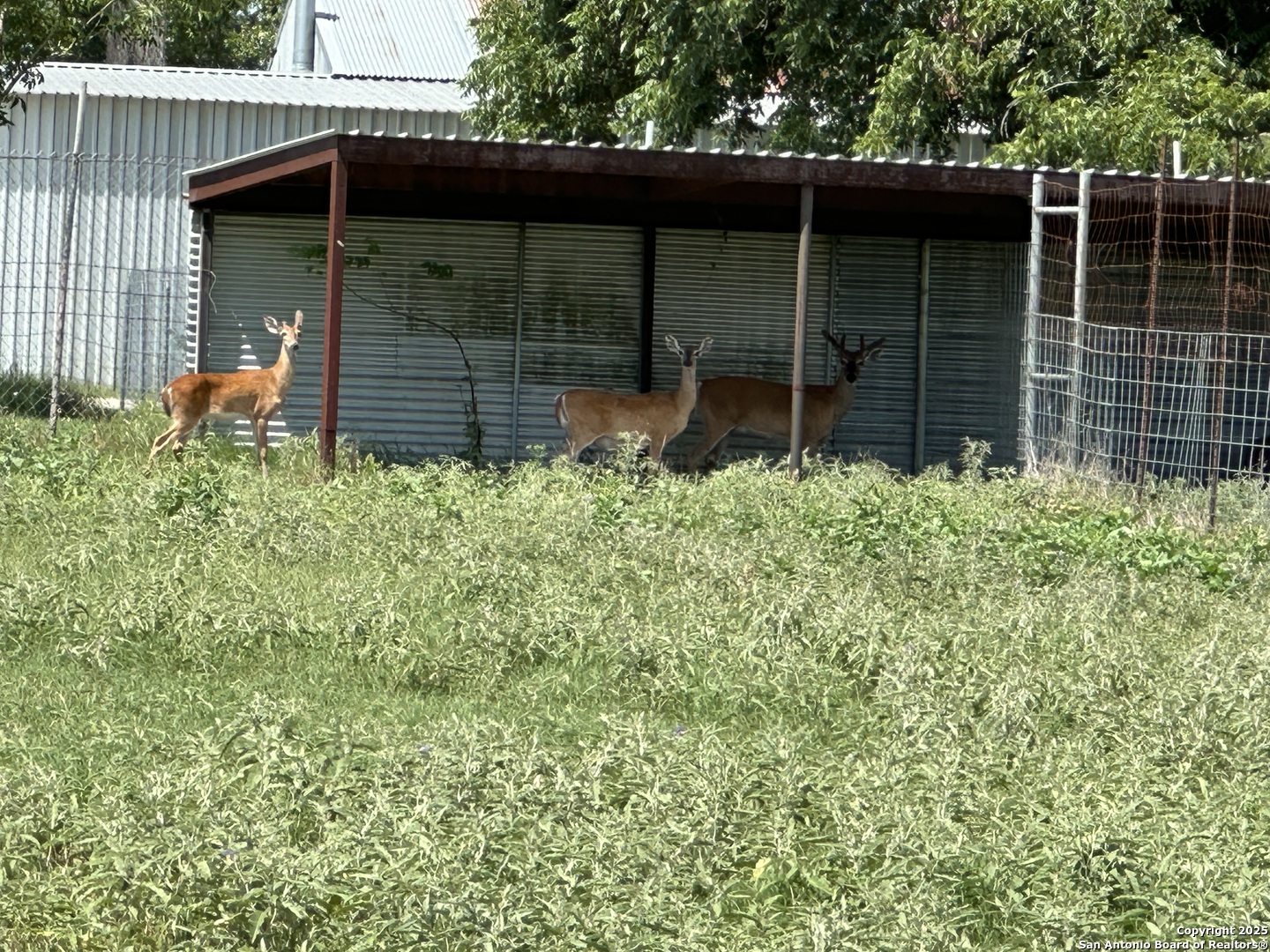 10745 & 10767 Rosemar Lane Adkins TX 78101