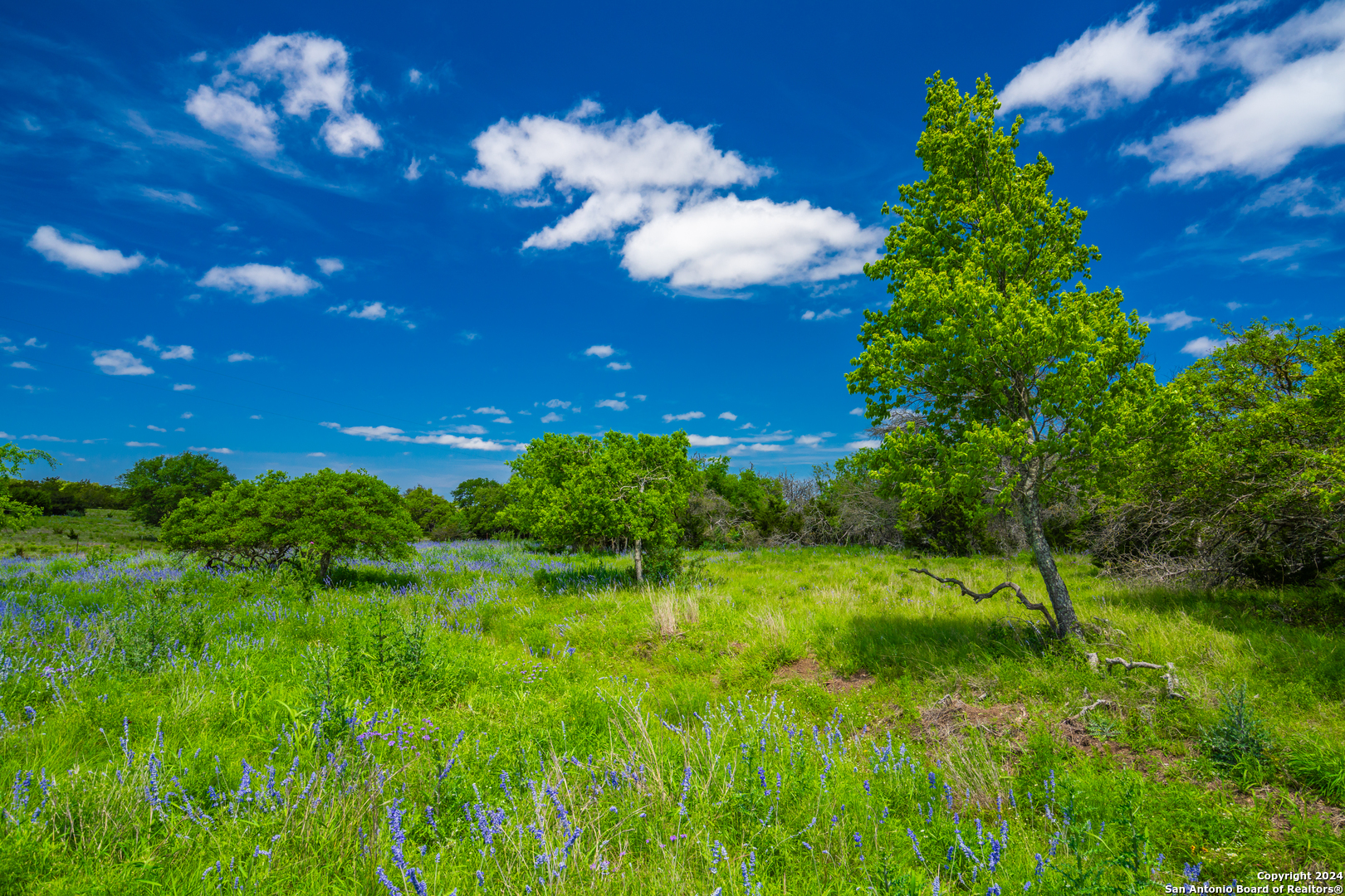 0 Jung Road Harper TX 78631