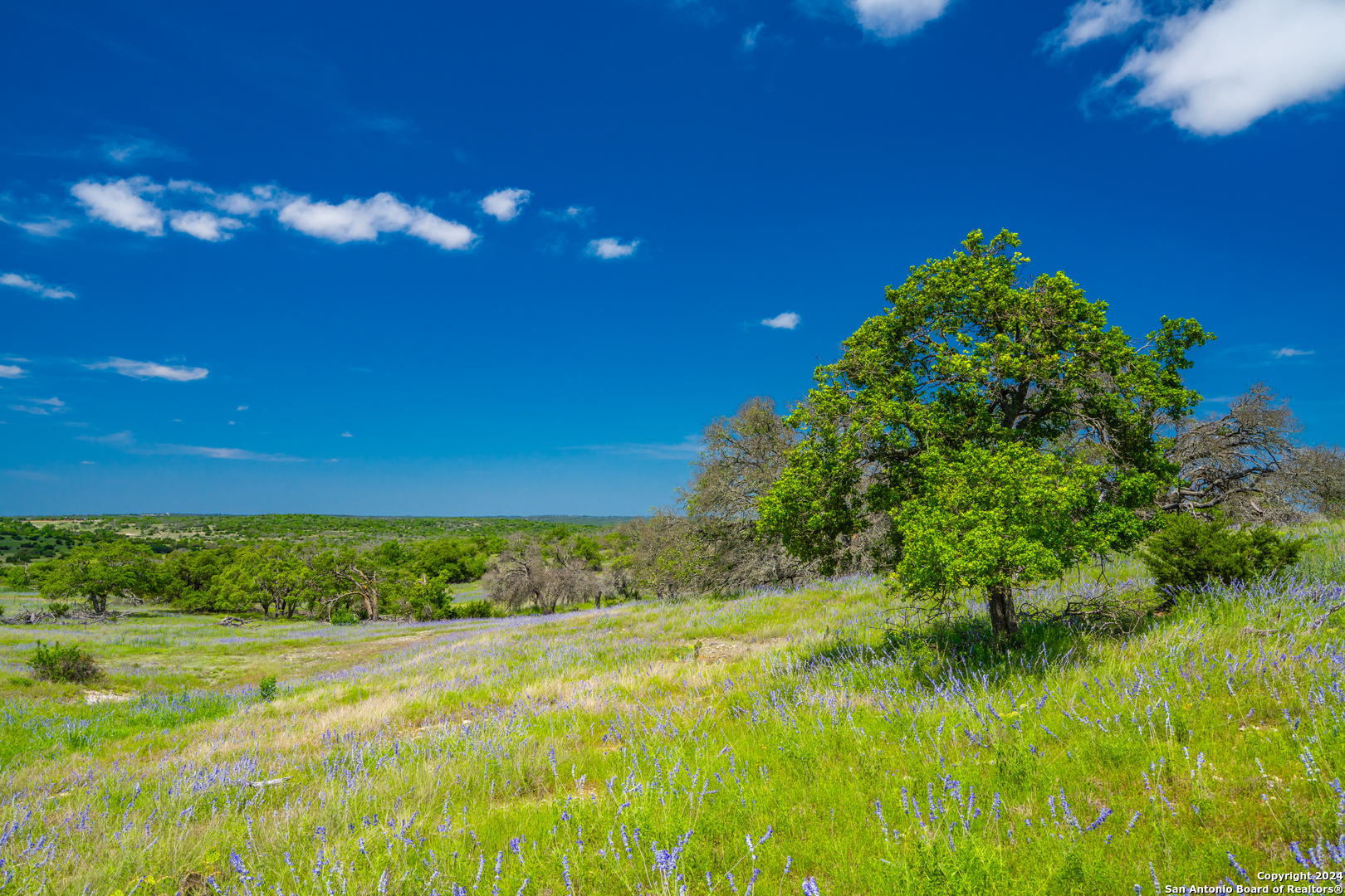 0 Jung Road Harper TX 78631