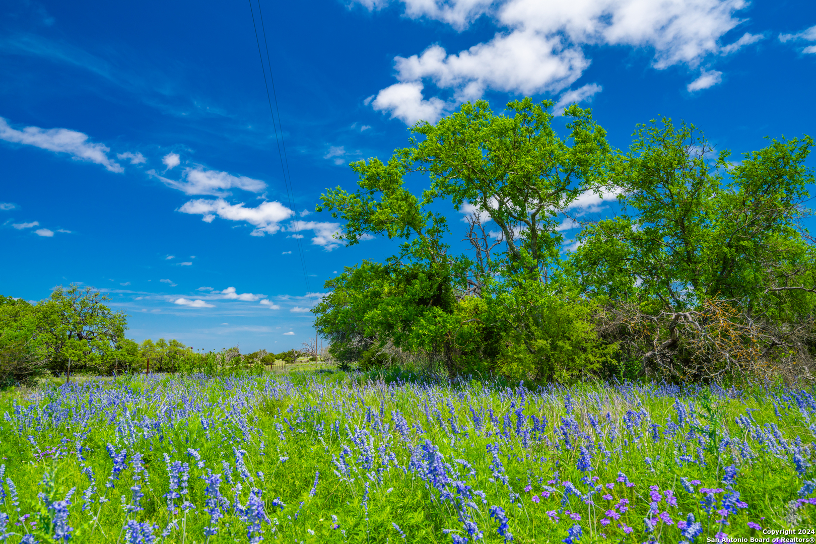 0 Jung Road Harper TX 78631