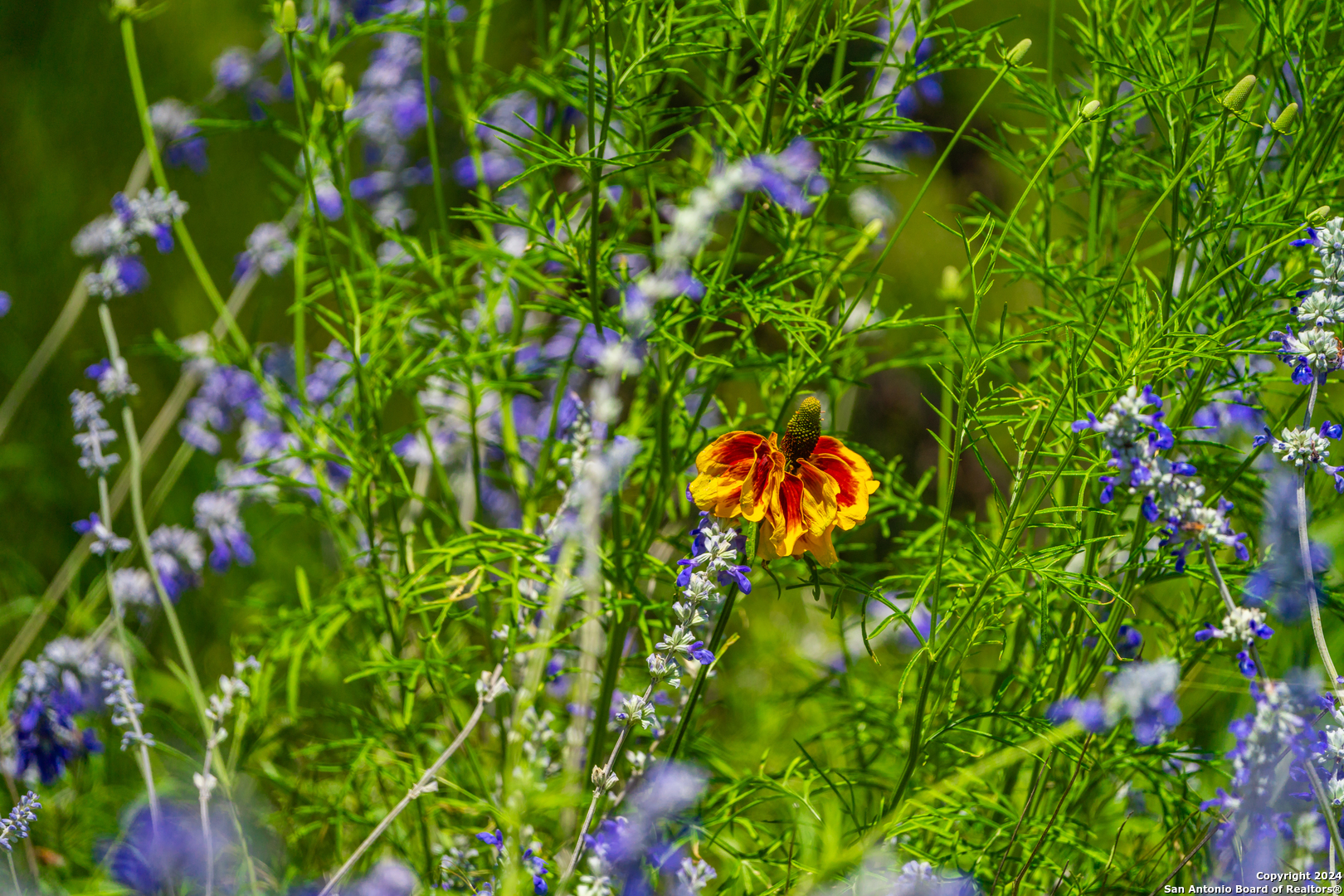 0 Jung Road Harper TX 78631