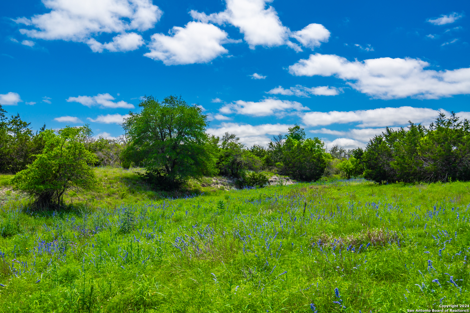 0 Jung Road Harper TX 78631