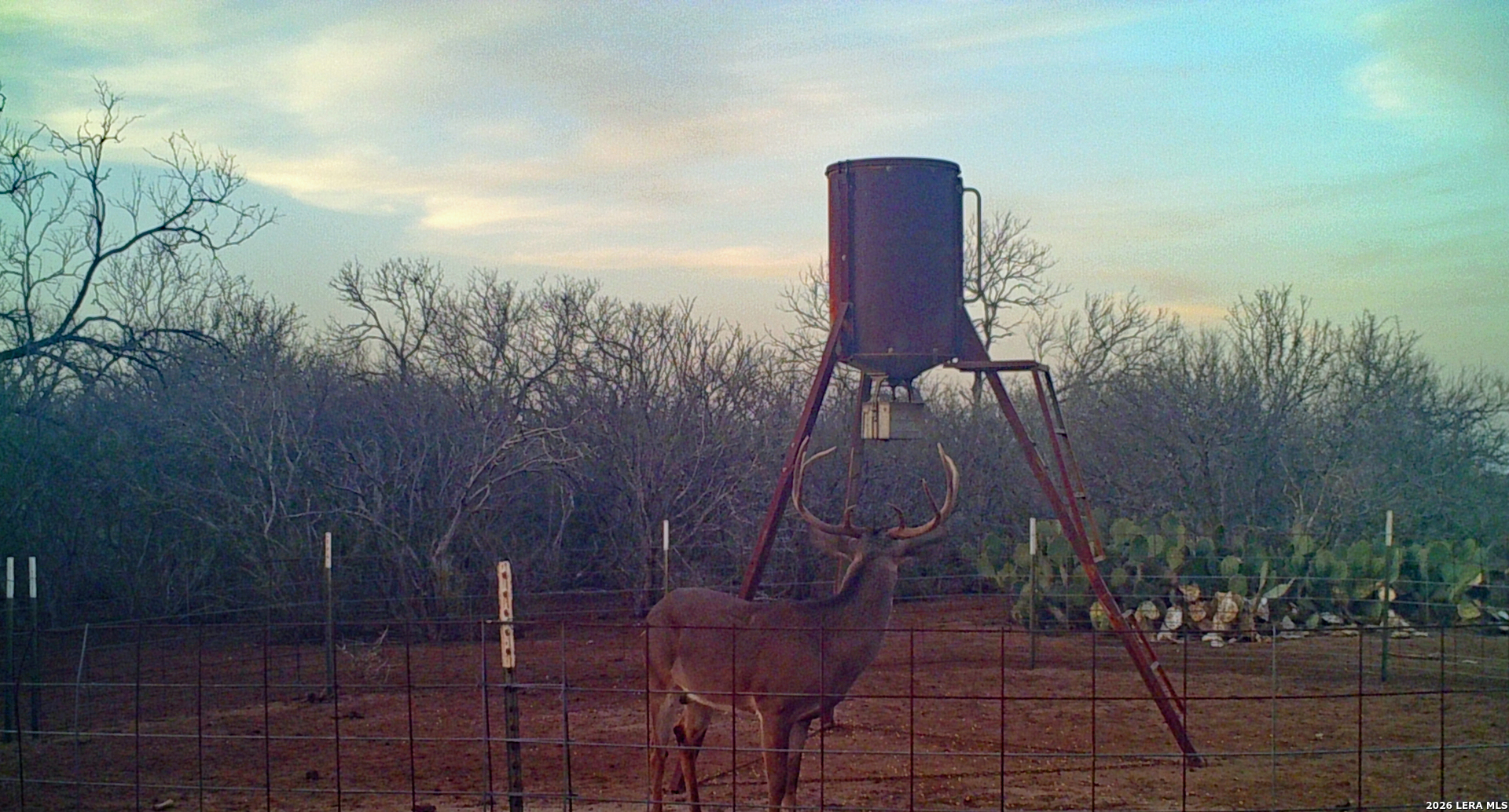 0 Cr 310 Charlotte TX 78011