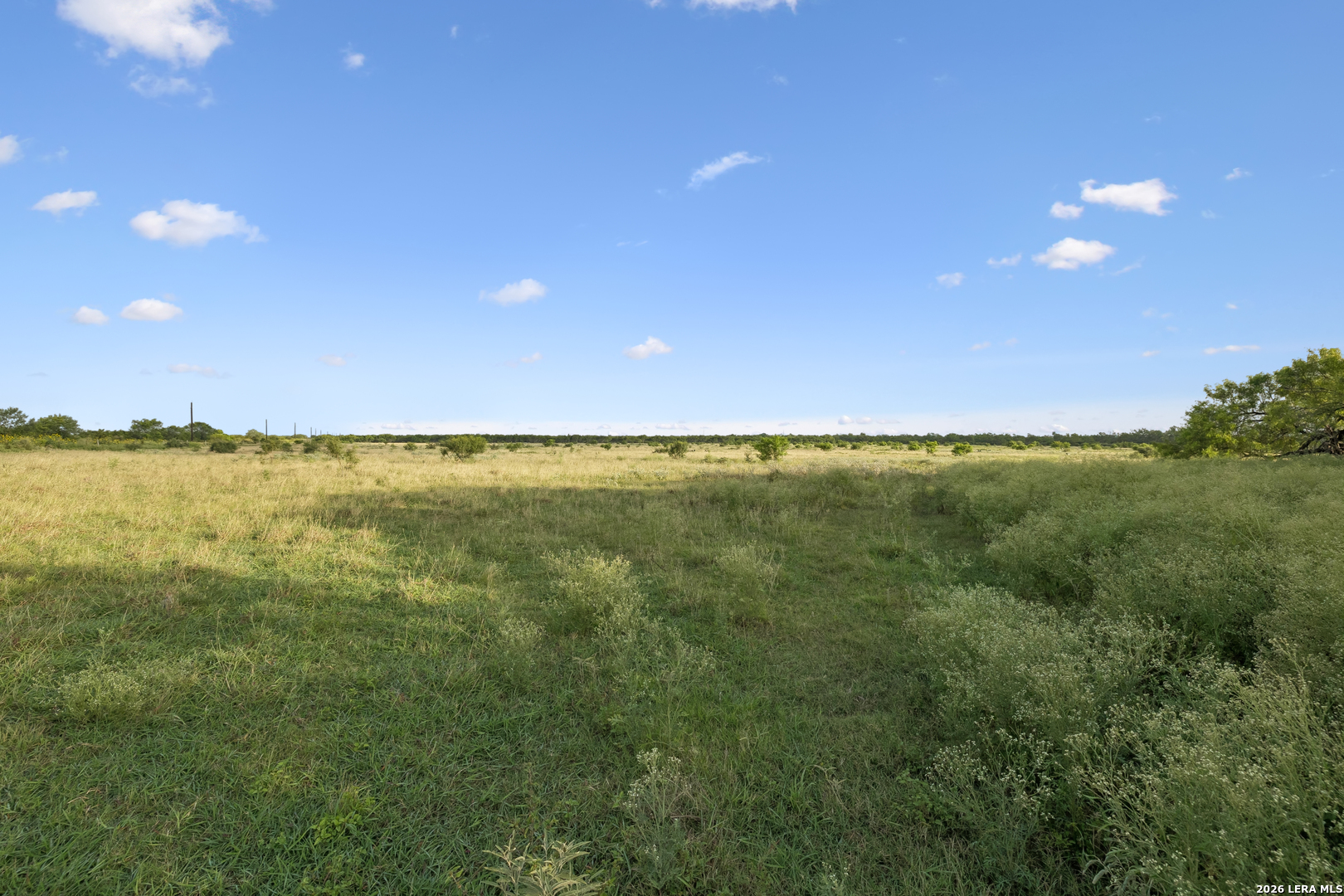 0 Cr 310 Charlotte TX 78011