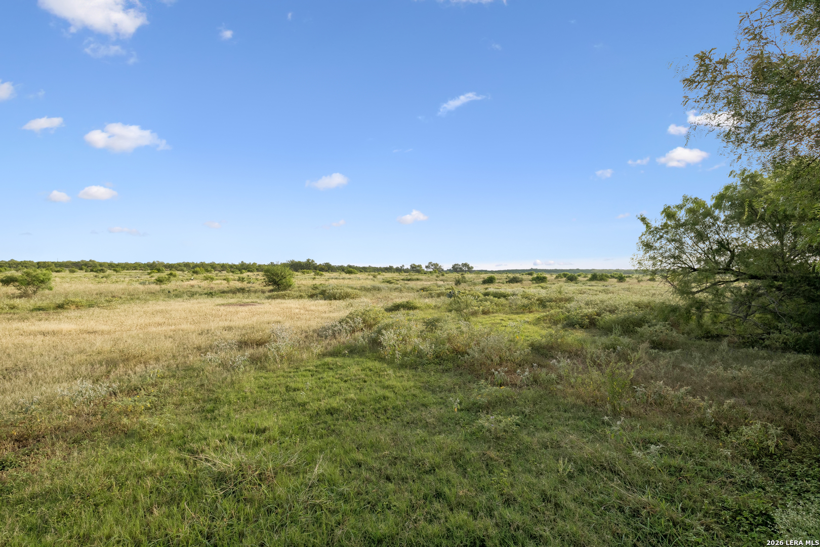 0 Cr 310 Charlotte TX 78011