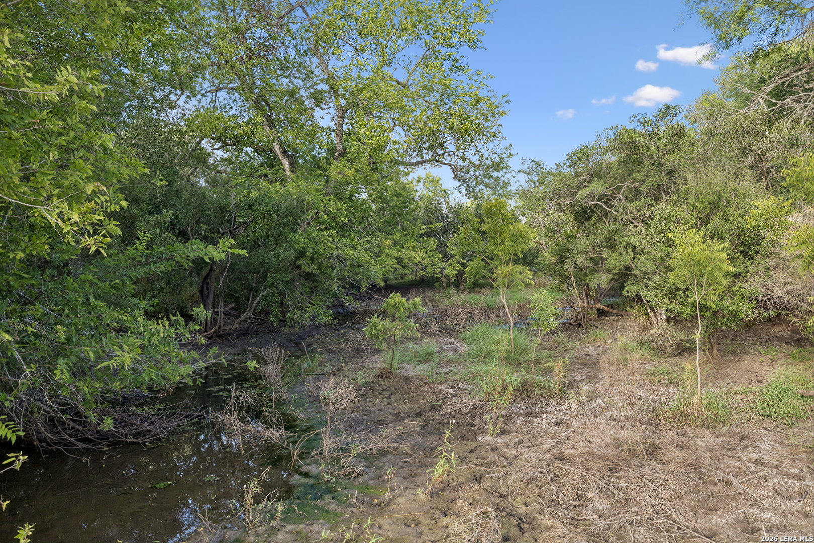 0 Cr 310 Charlotte TX 78011