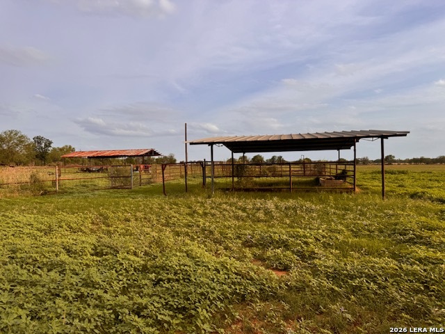 1115 County Road 669 Devine TX 78016