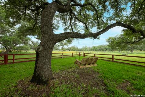 104 Longhorn Stockdale TX 78160