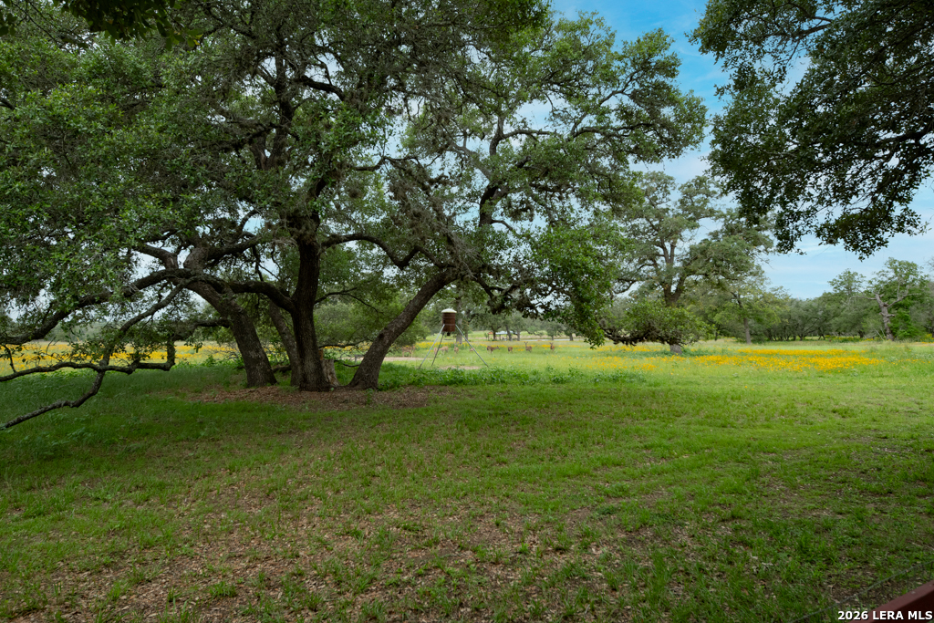 104 Longhorn Stockdale TX 78160