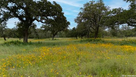104 Longhorn Stockdale TX 78160
