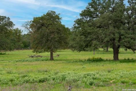 104 Longhorn Stockdale TX 78160