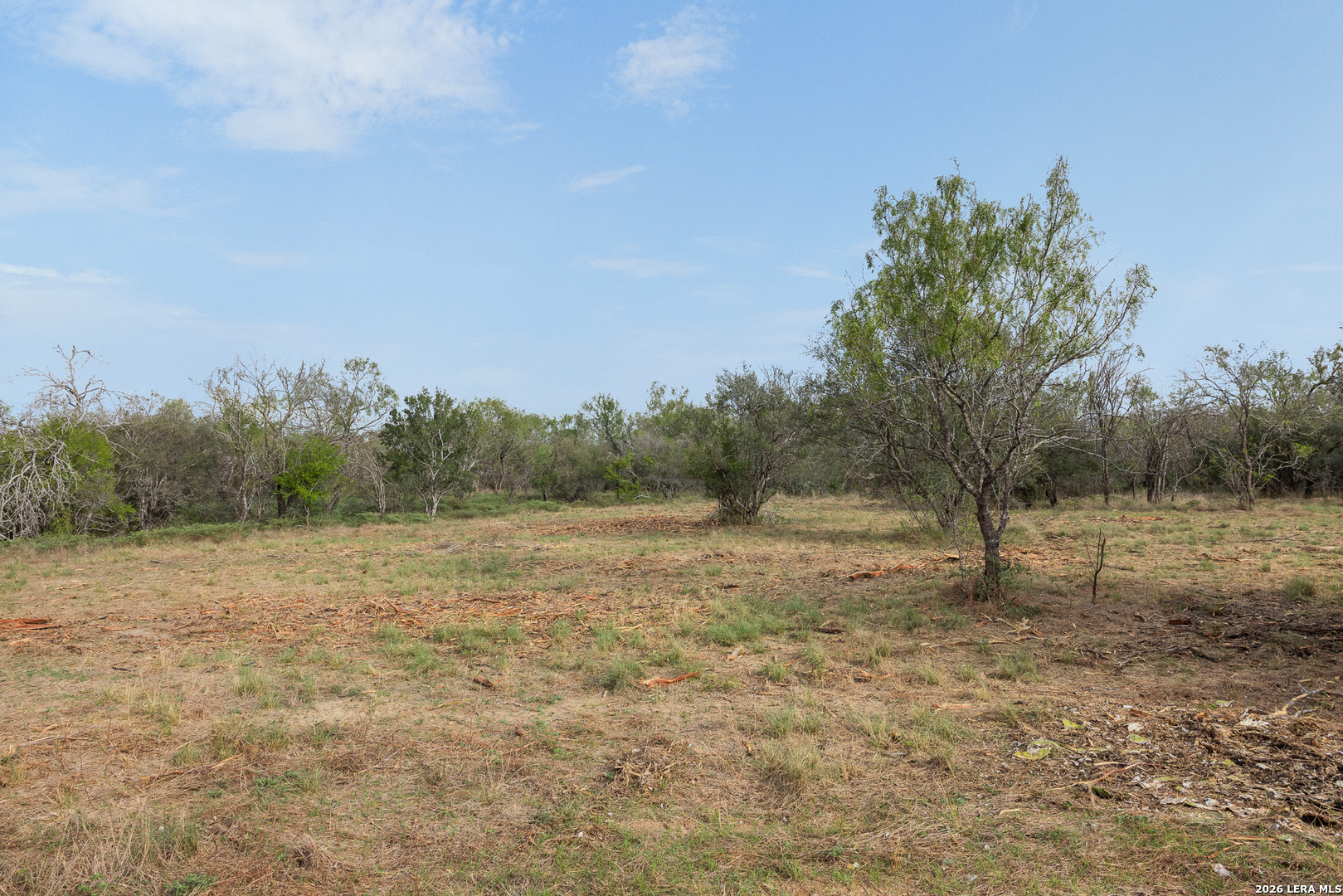 Tract 11 Schultz Road Elmendorf TX 78112