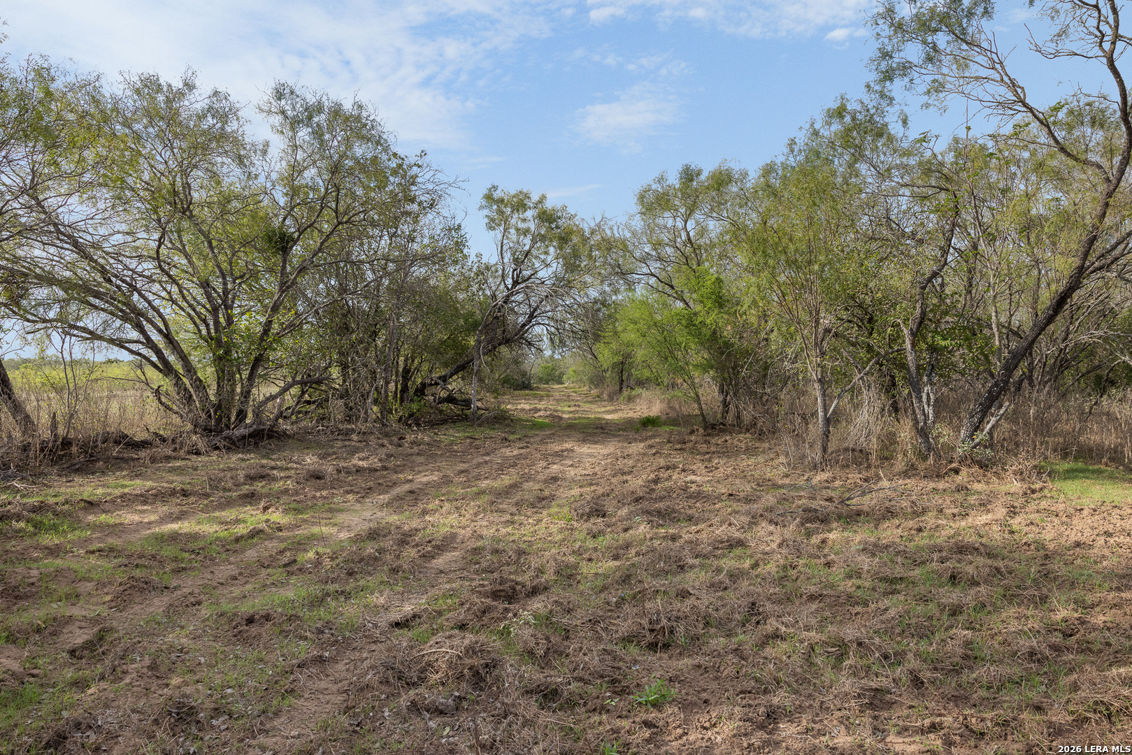 Tract 11 Schultz Road Elmendorf TX 78112