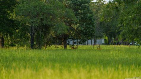 8058 Milam County Road 455 Thorndale TX 76577