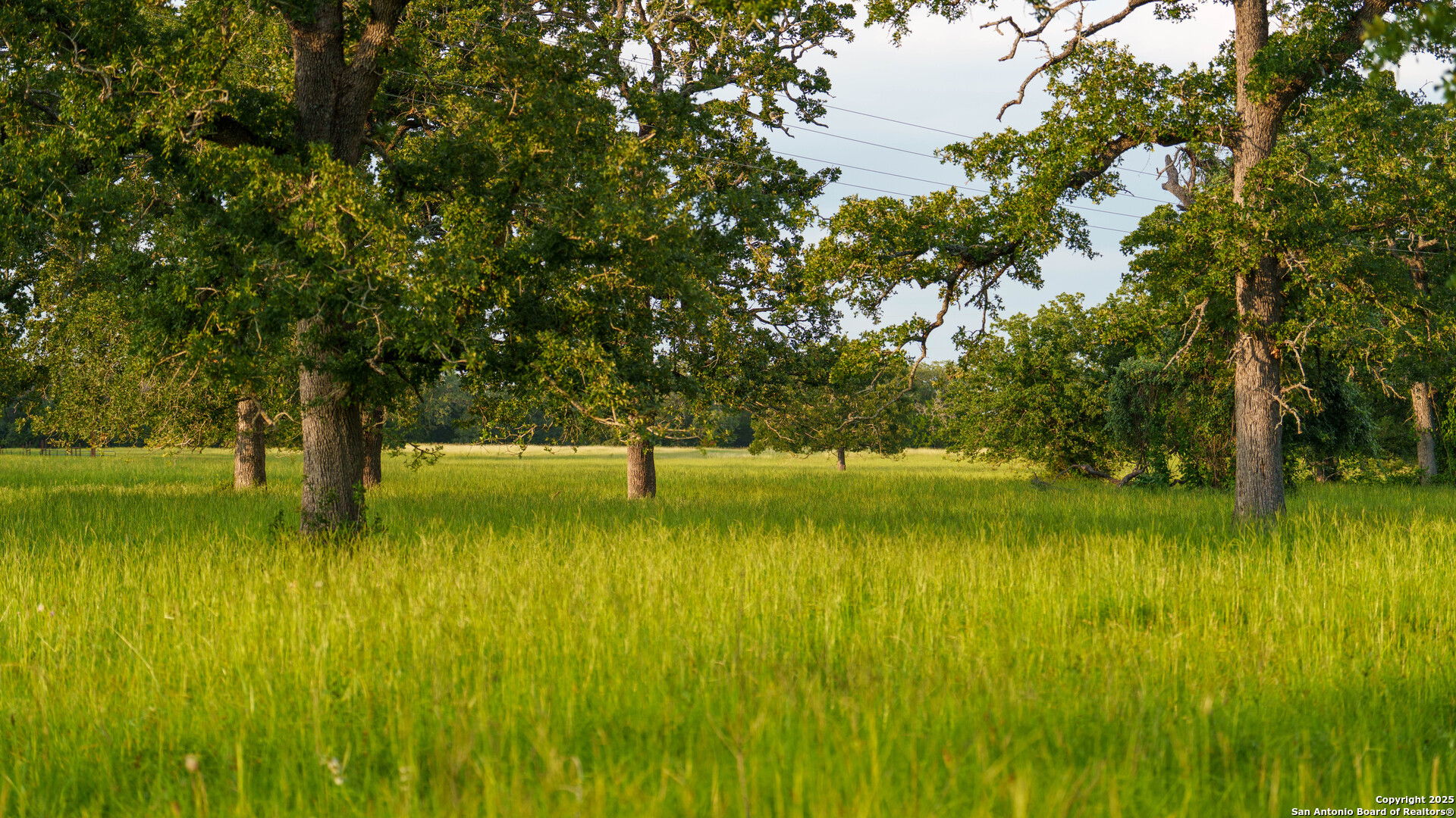 8058 Milam County Road 455 Thorndale TX 76577