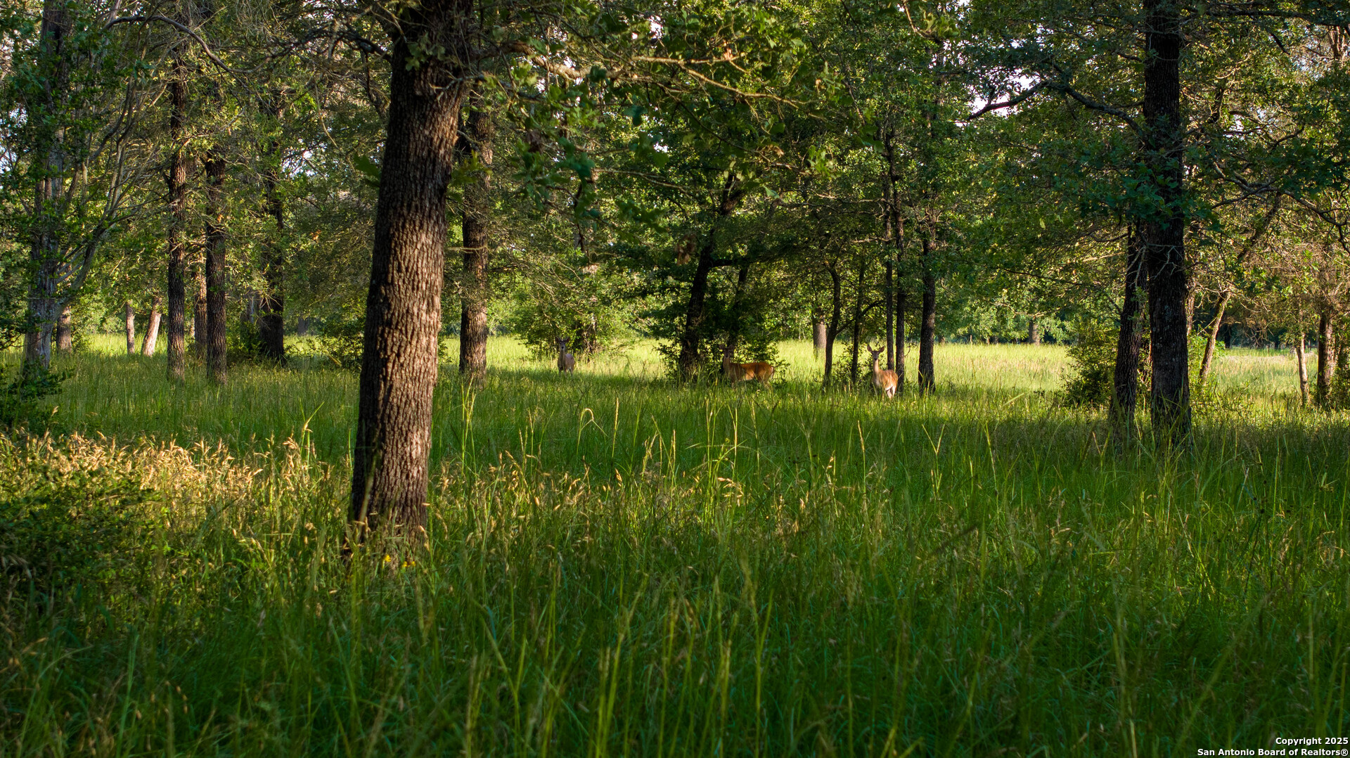 8058 Milam County Road 455 Thorndale TX 76577