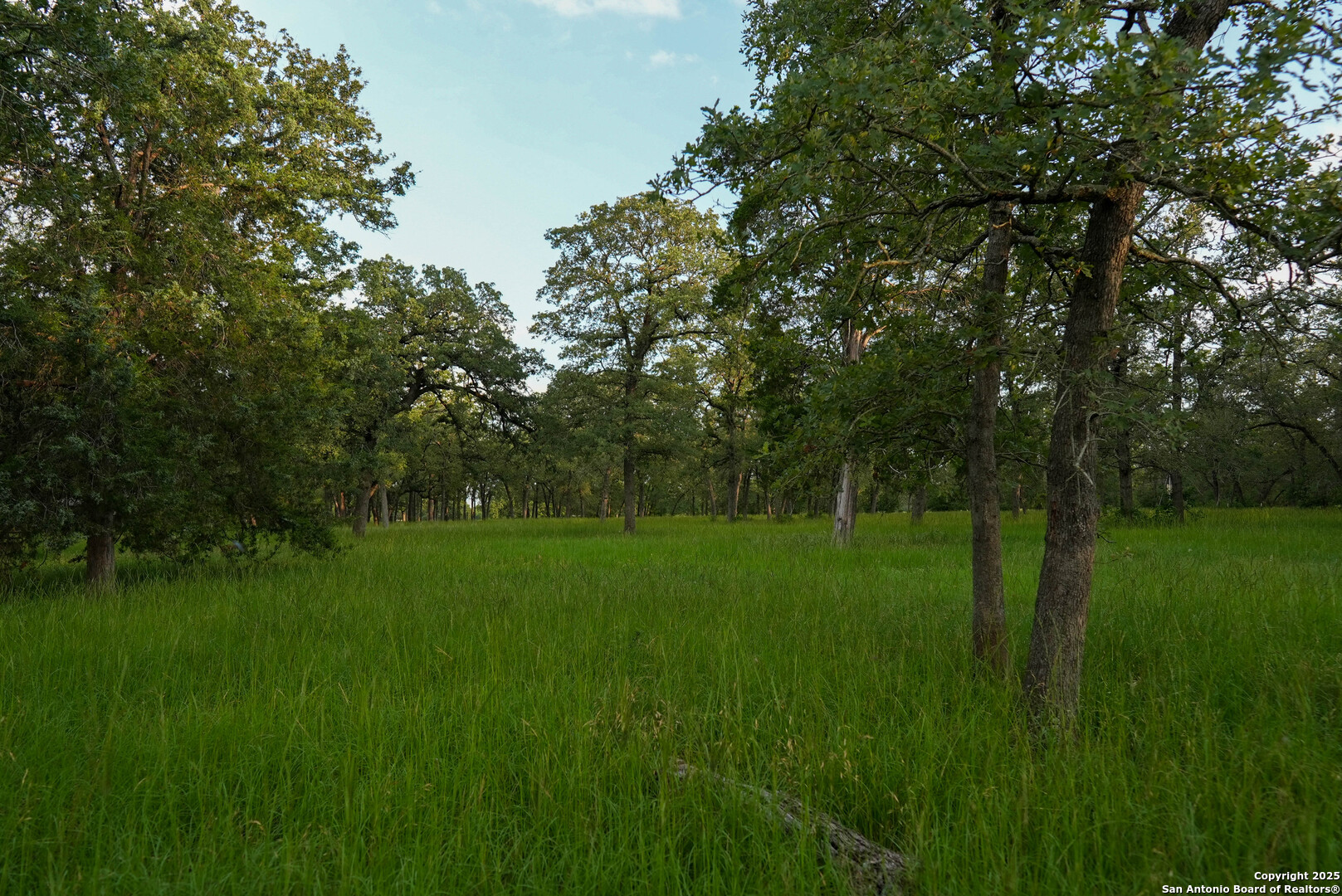 8058 Milam County Road 455 Thorndale TX 76577