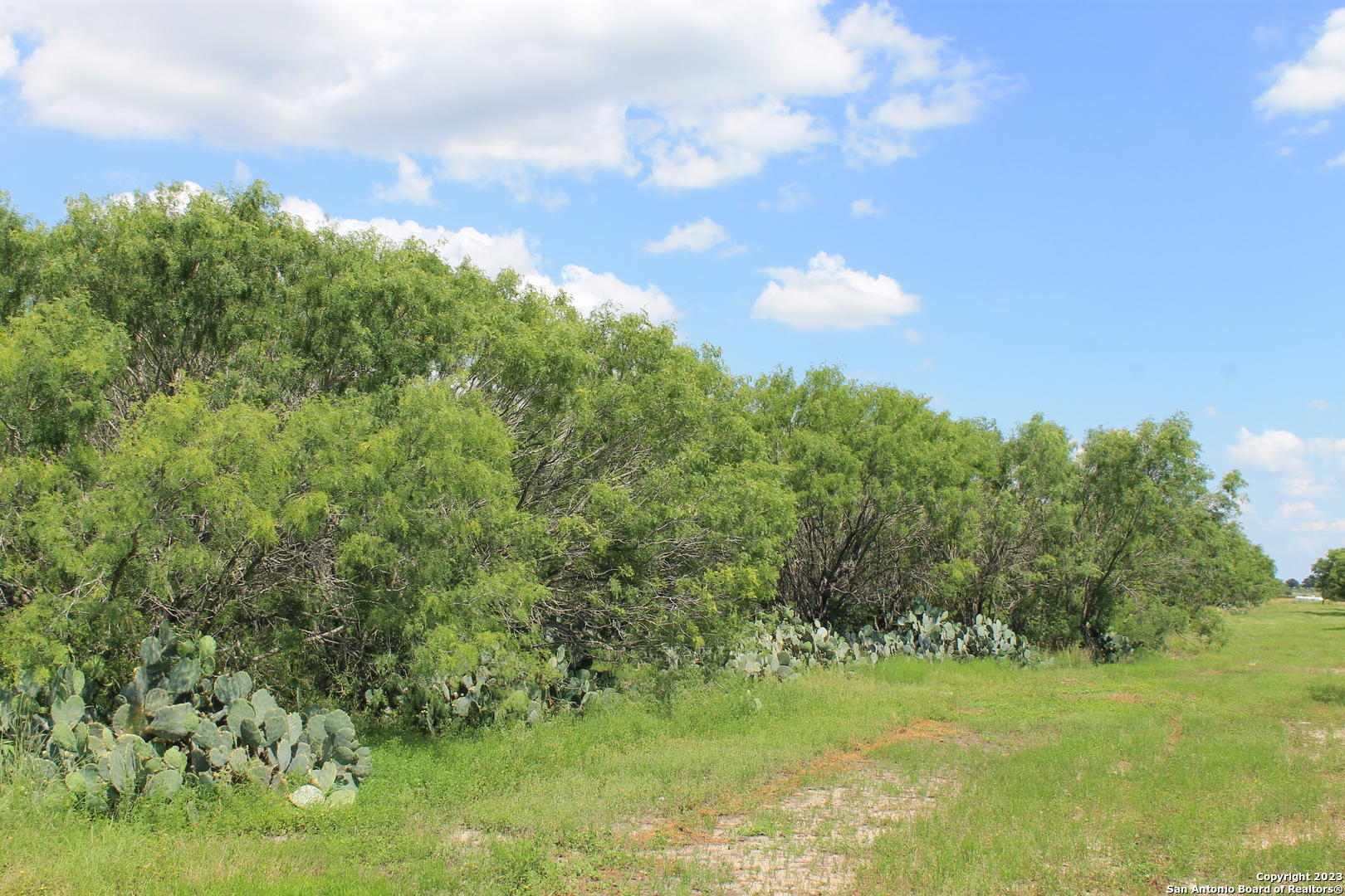 755 Pr Mia Lane Floresville TX 78064