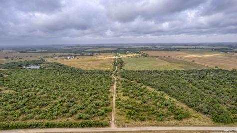 2538 County Road 223 Floresville TX 78114