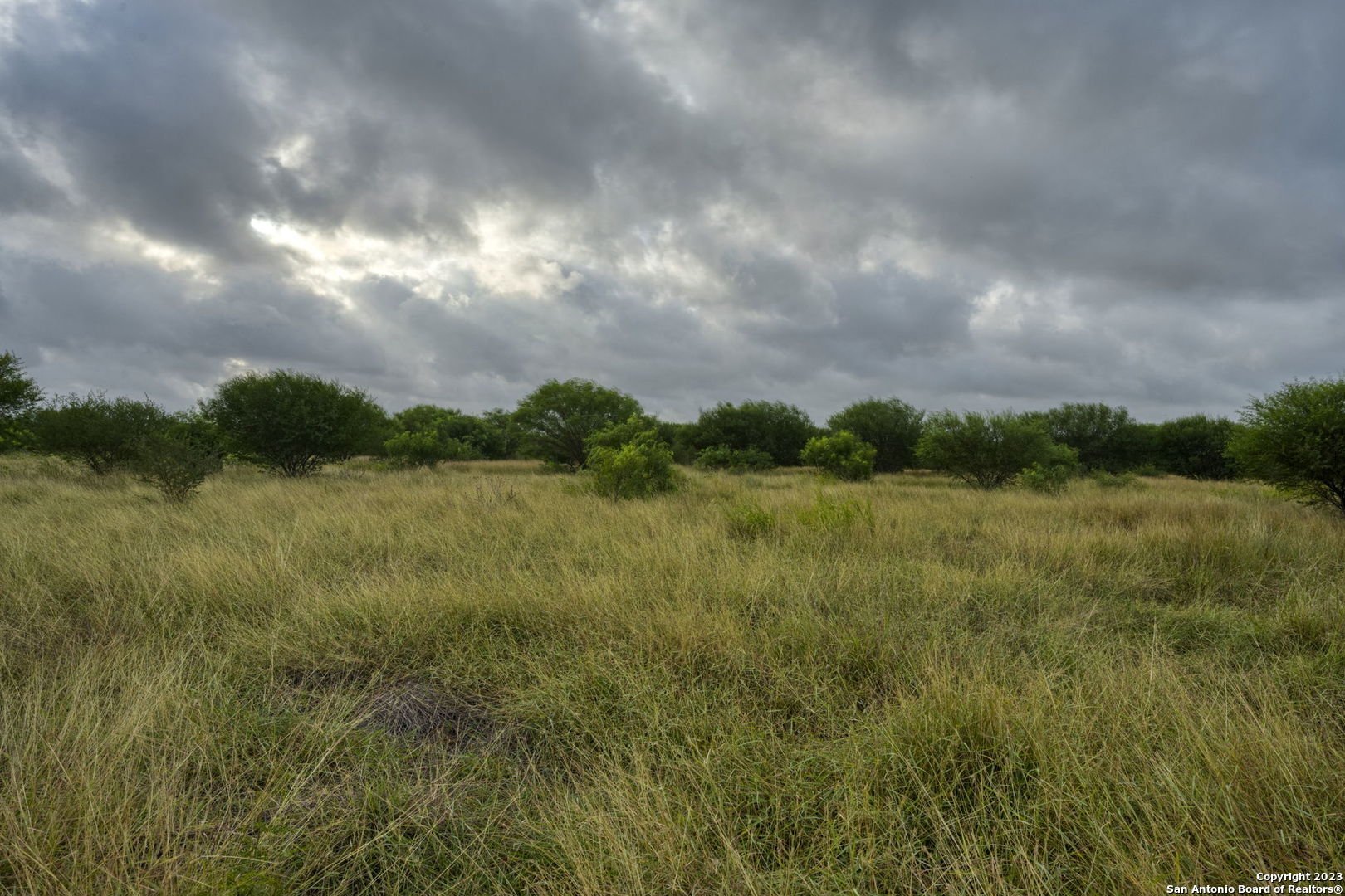 2538 County Road 223 Floresville TX 78114