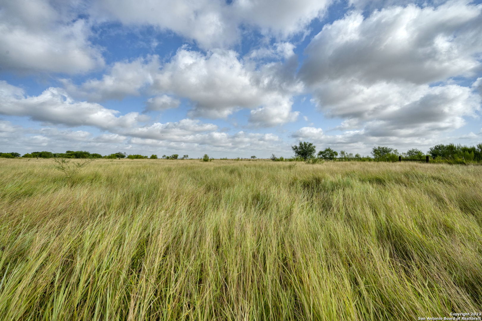 2538 County Road 223 Floresville TX 78114