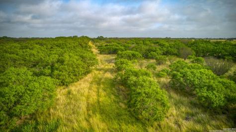 2538 County Road 223 Floresville TX 78114