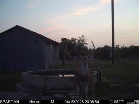 Tbd Ranch To Market Road 473 Comfort TX 78013