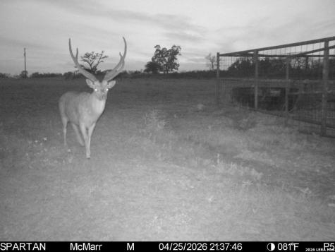 Tbd Ranch To Market Road 473 Comfort TX 78013