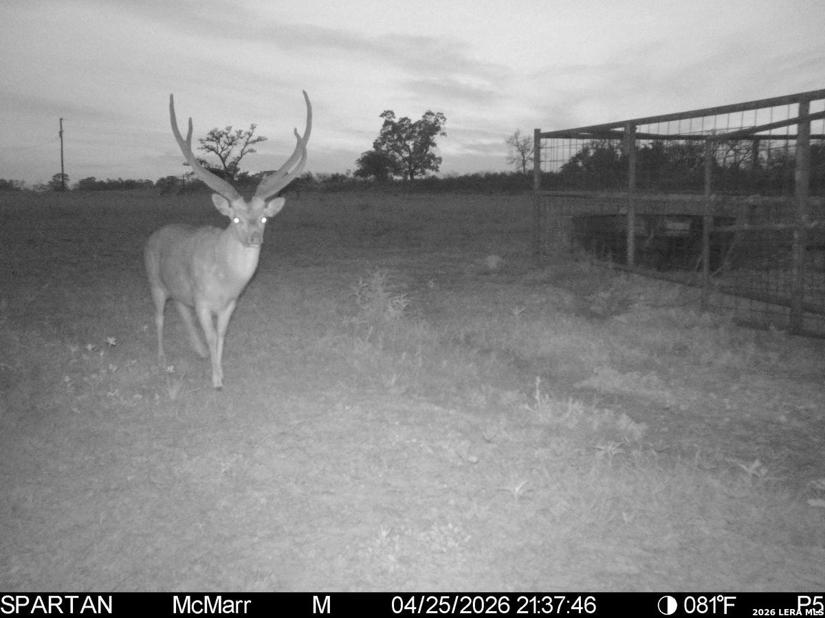 Tbd Ranch To Market Road 473 Comfort TX 78013